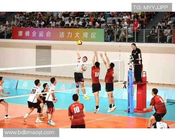 深圳排球队与重庆排球队的赛后复盘分析团队协作的关键因素与表现