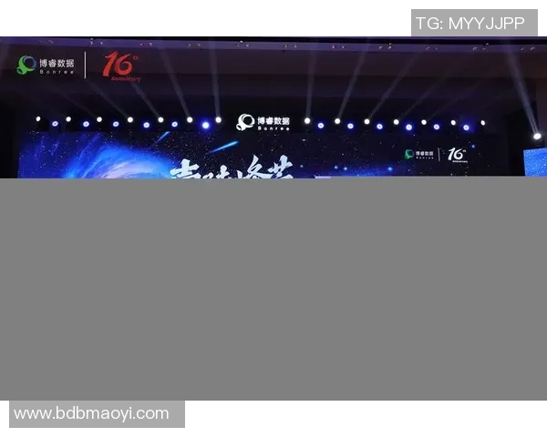 上海排球队的辉煌征程与大师赛的荣耀时刻